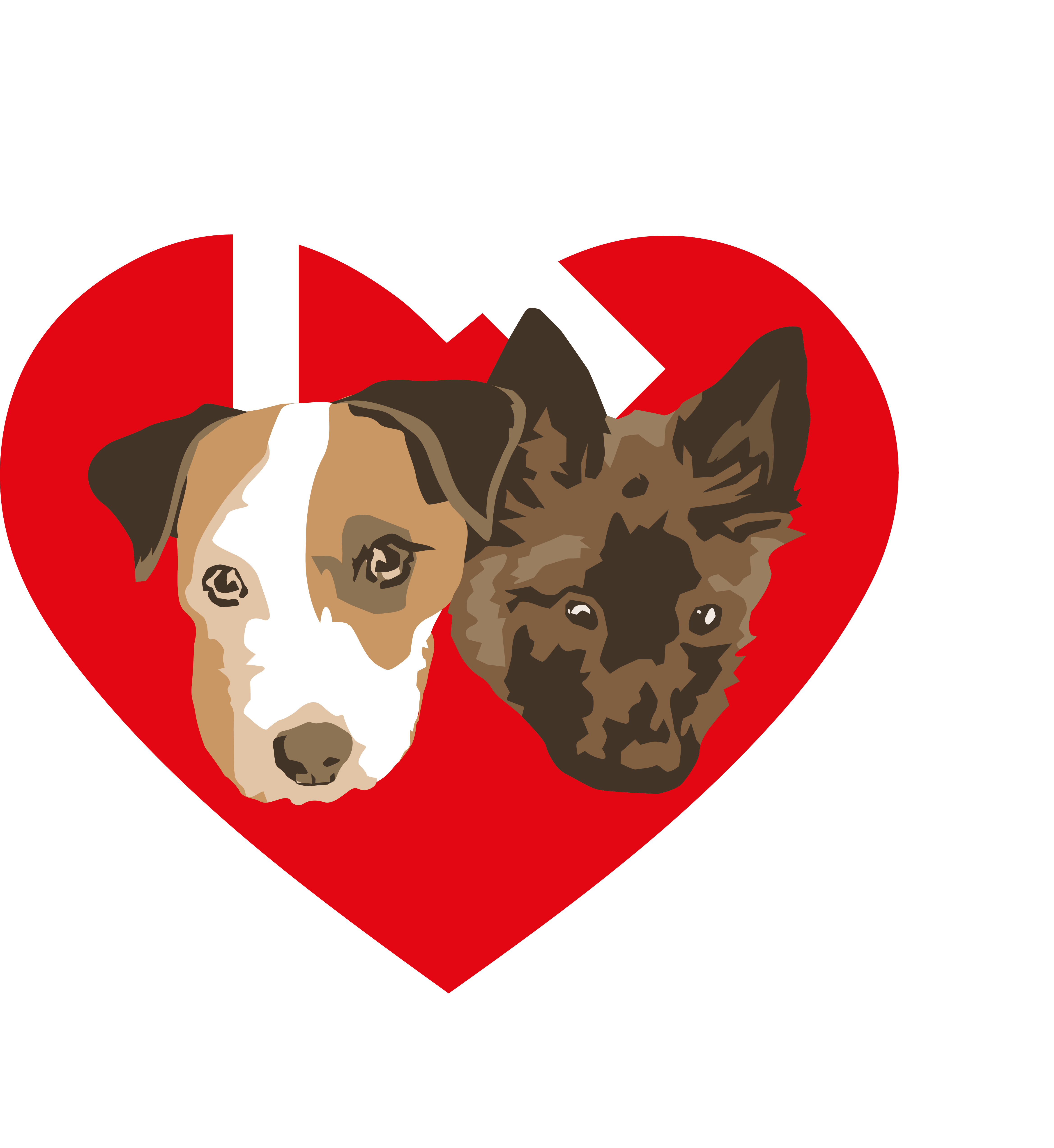 Kanzlei Langer & Mühlbauer