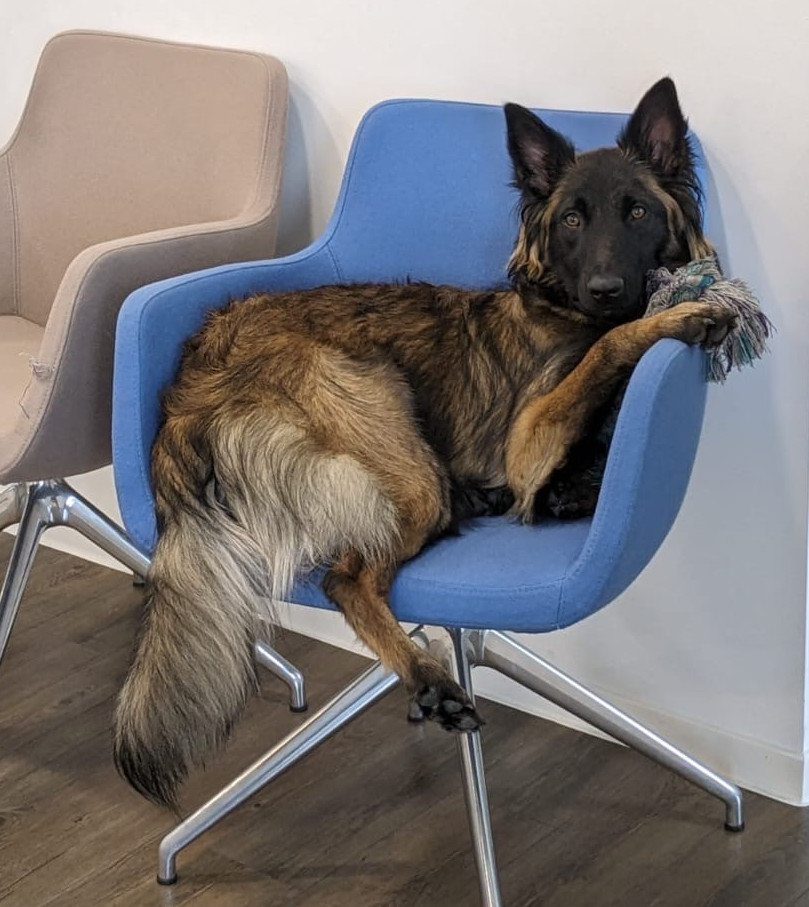 Work-Life-Balance