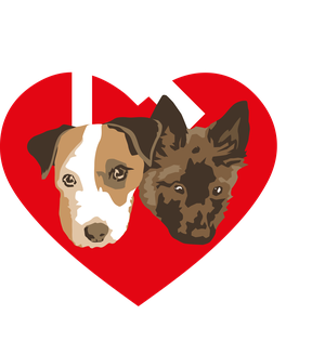 Kanzlei Langer & Mühlbauer